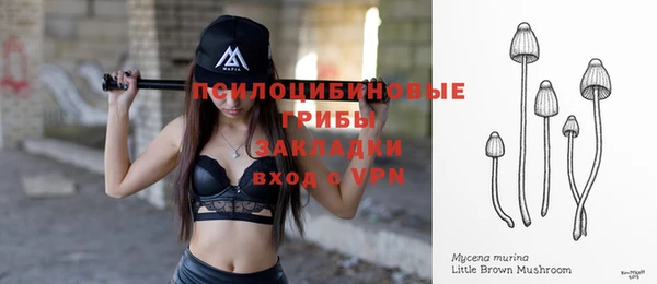 хмурый Чита