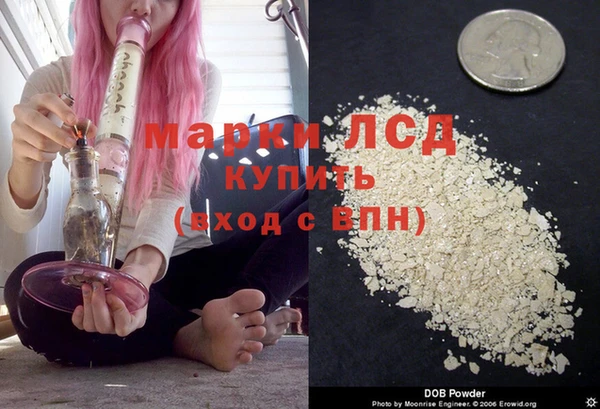 шишки Богородск